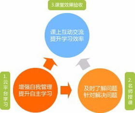 如何高效学习软件开发课程