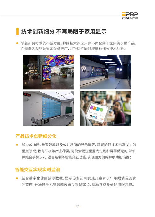 2024年度显示设备护眼趋势报告 软件与辅助设备的零售新篇章